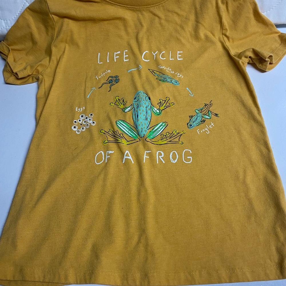 Life cycle of a frog t-shirt